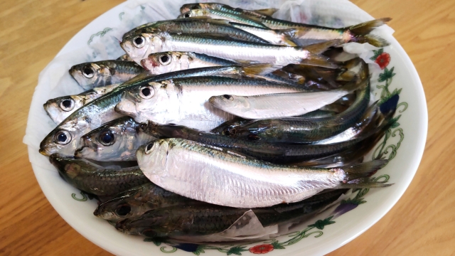 サッパ