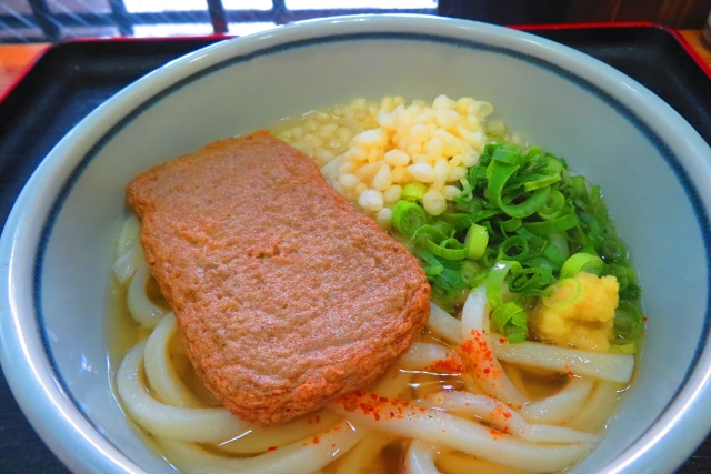 じゃこ天うどん
