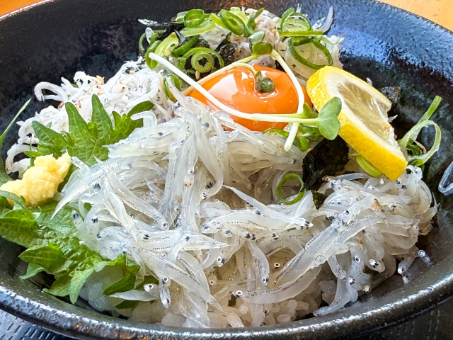 生しらす丼