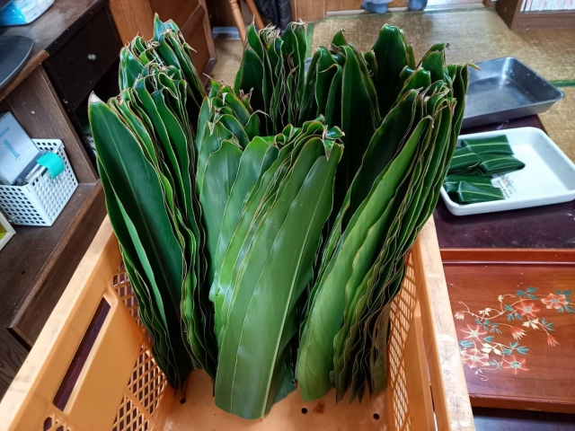 サンニン(月桃)の葉