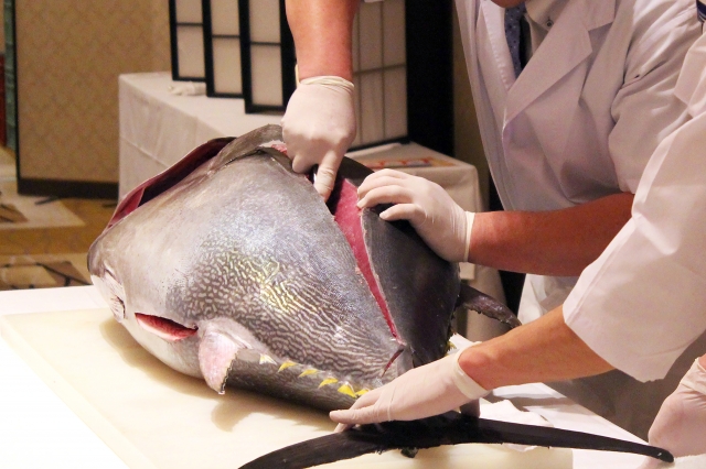 マグロ解体ショー
