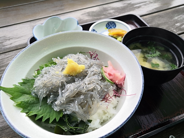 江ノ島のしらす丼